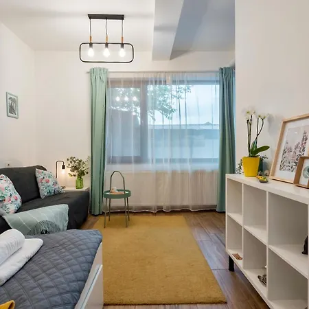 Parter - Terasa & Parcare - Spitalul Fundeni Bukarest